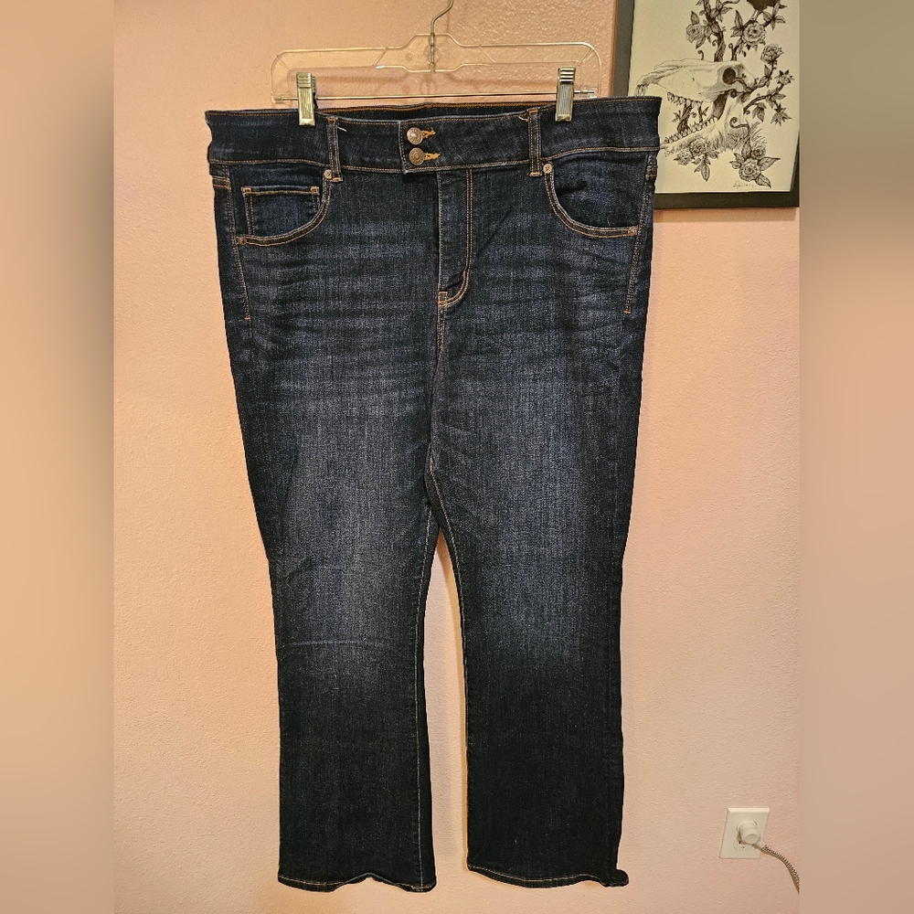 AE Next Level Stretch Plus Jeans